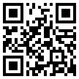 地铁跑酷全皮肤Subway Surf