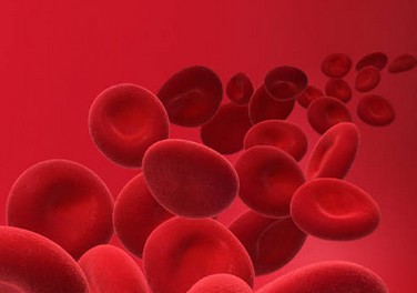 红细胞（图）