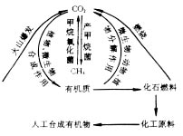 微生物在碳素循环中的作用