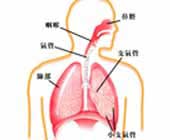 临床执业医师内科学：胸腔积液