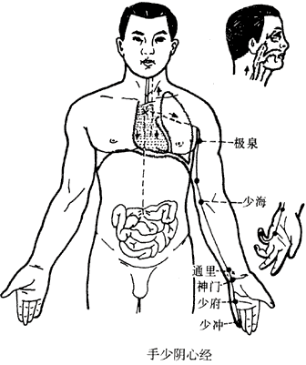 手少阴心经的分支|循行与联系脏腑