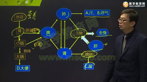 津液的生成输布与排泄记忆诀窍（姜逸老师）