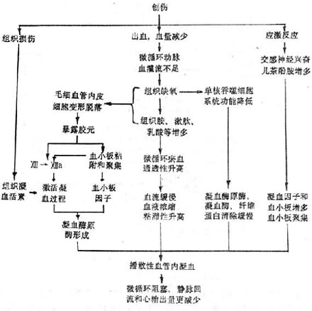 损伤性休克的病因（图）