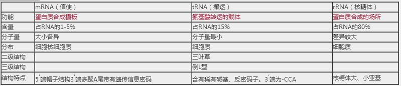 2018年临床执业医师生物化学科目高频复习资料